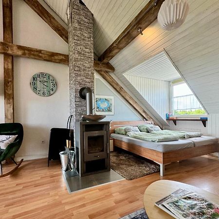 Hof Vierzehnender Im Hohen Venn - 70Qm Fachwerk-Studio - Grosses Wohn-Schlafzimmer Mit Dachterrasse Und Kaminofen - Separate Kueche - Perfekt Fuer Paare - Monschau - Eifel - Hunde Willkommen - Islandpferde 外观 照片