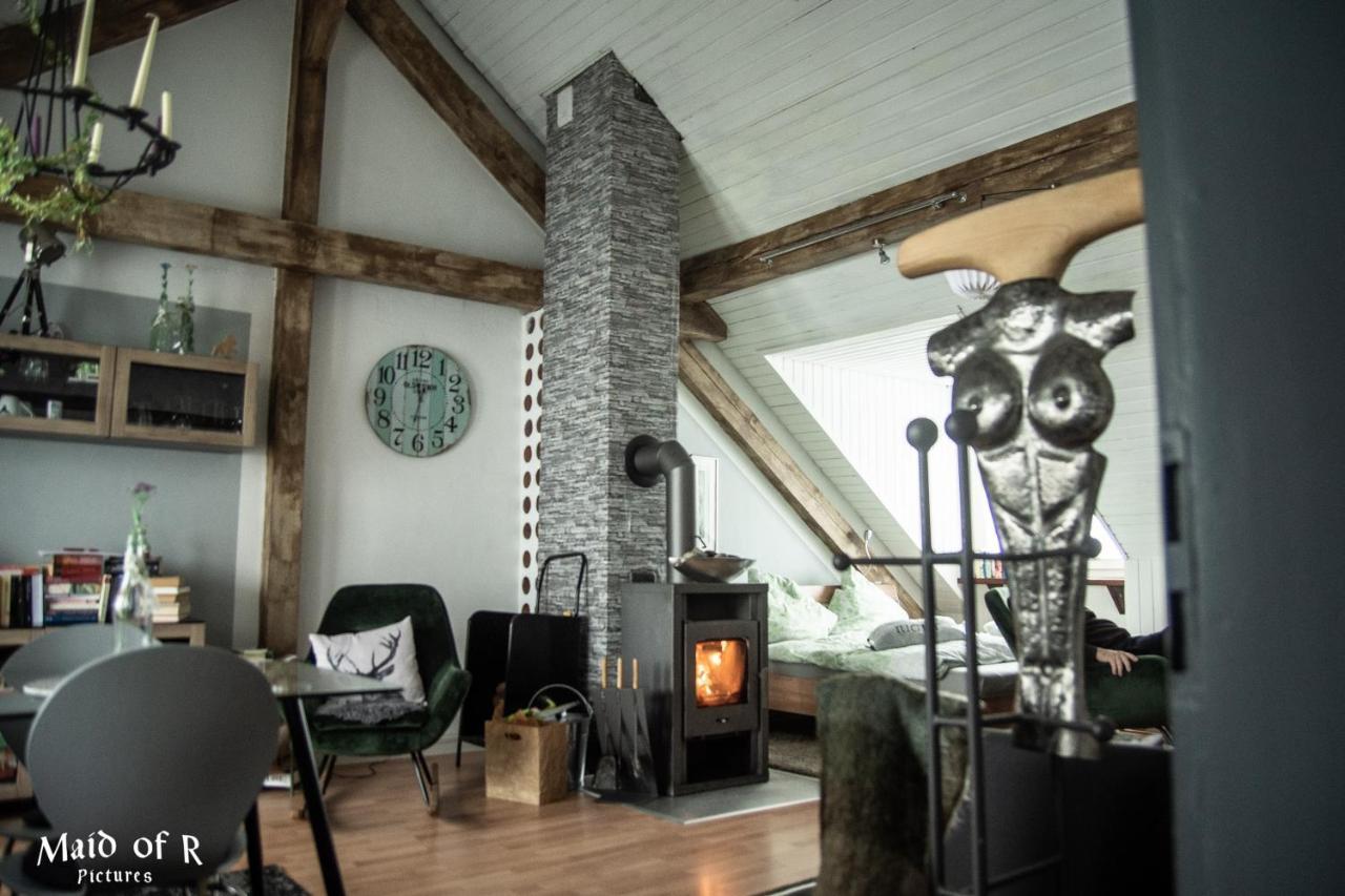 Hof Vierzehnender Im Hohen Venn - 70Qm Fachwerk-Studio - Grosses Wohn-Schlafzimmer Mit Dachterrasse Und Kaminofen - Separate Kueche - Perfekt Fuer Paare - Monschau - Eifel - Hunde Willkommen - Islandpferde 外观 照片