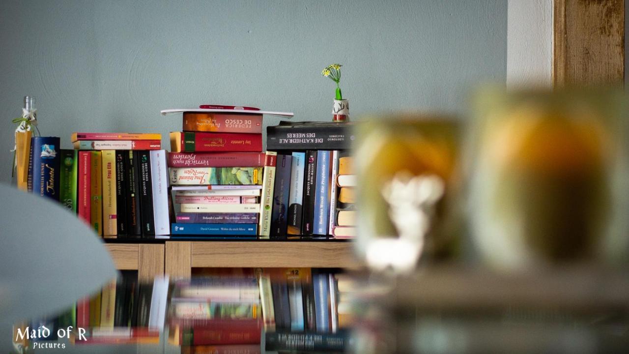 Hof Vierzehnender Im Hohen Venn - 70Qm Fachwerk-Studio - Grosses Wohn-Schlafzimmer Mit Dachterrasse Und Kaminofen - Separate Kueche - Perfekt Fuer Paare - Monschau - Eifel - Hunde Willkommen - Islandpferde 外观 照片