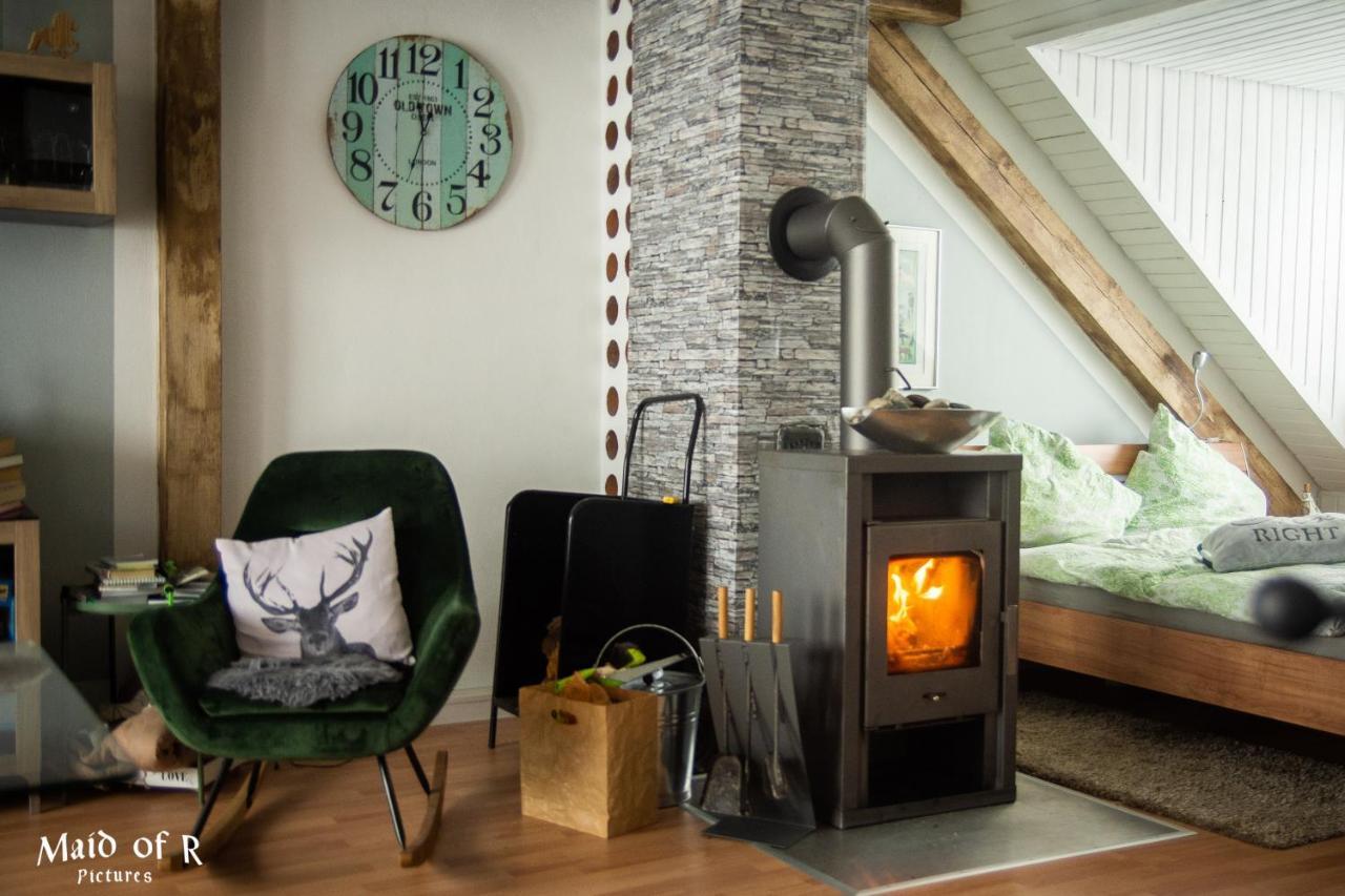 Hof Vierzehnender Im Hohen Venn - 70Qm Fachwerk-Studio - Grosses Wohn-Schlafzimmer Mit Dachterrasse Und Kaminofen - Separate Kueche - Perfekt Fuer Paare - Monschau - Eifel - Hunde Willkommen - Islandpferde 外观 照片