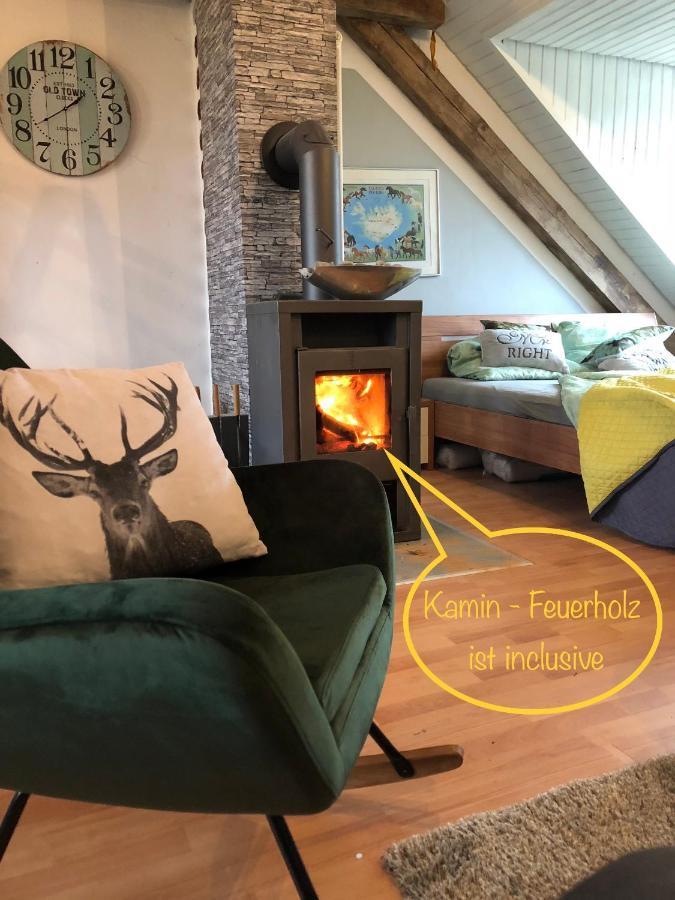 Hof Vierzehnender Im Hohen Venn - 70Qm Fachwerk-Studio - Grosses Wohn-Schlafzimmer Mit Dachterrasse Und Kaminofen - Separate Kueche - Perfekt Fuer Paare - Monschau - Eifel - Hunde Willkommen - Islandpferde 外观 照片