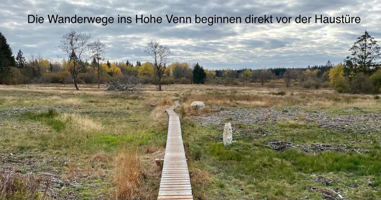 Hof Vierzehnender Im Hohen Venn - 70Qm Fachwerk-Studio - Grosses Wohn-Schlafzimmer Mit Dachterrasse Und Kaminofen - Separate Kueche - Perfekt Fuer Paare - Monschau - Eifel - Hunde Willkommen - Islandpferde 外观 照片
