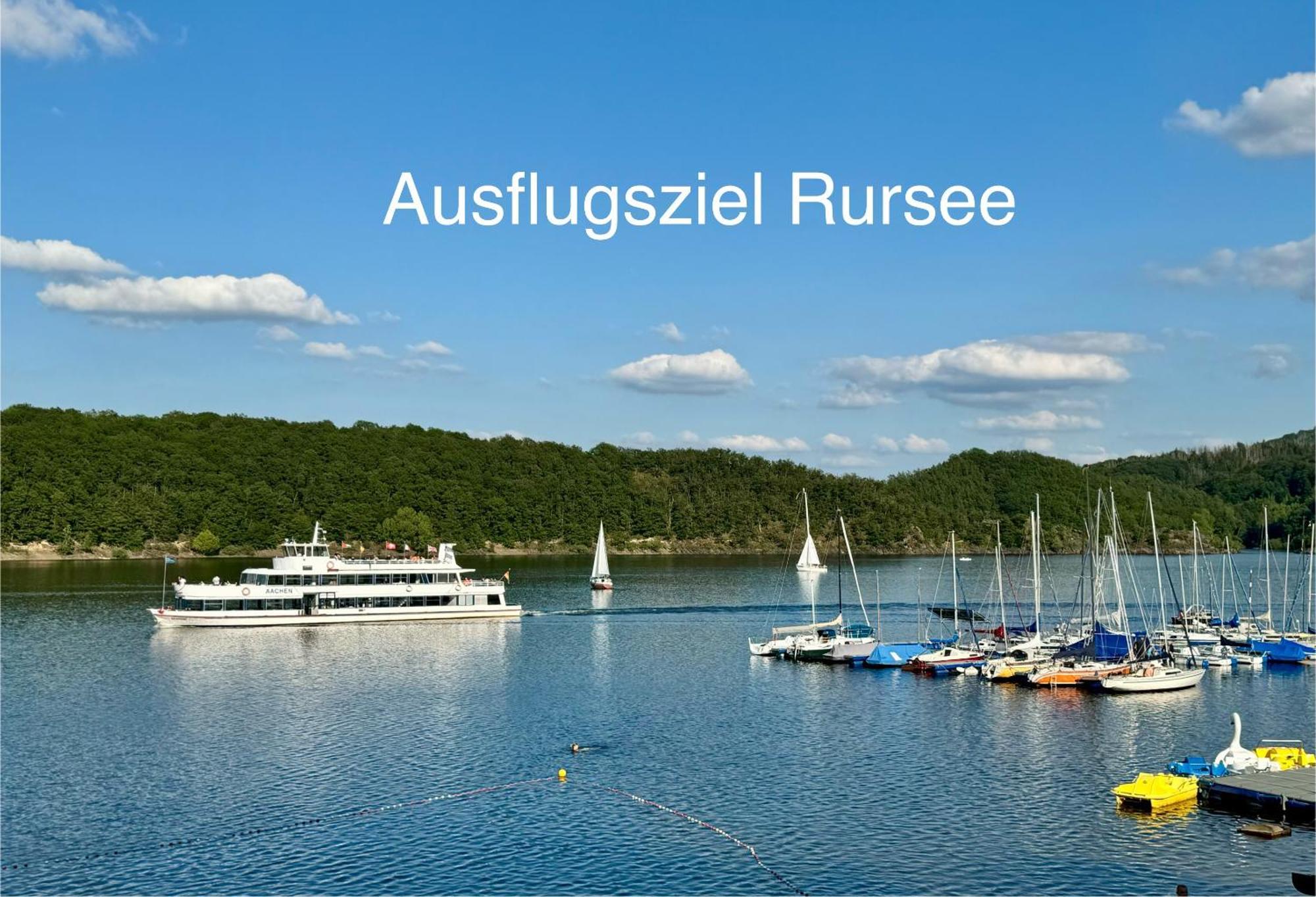 Hof Vierzehnender Im Hohen Venn - 70Qm Fachwerk-Studio - Grosses Wohn-Schlafzimmer Mit Dachterrasse Und Kaminofen - Separate Kueche - Perfekt Fuer Paare - Monschau - Eifel - Hunde Willkommen - Islandpferde 外观 照片