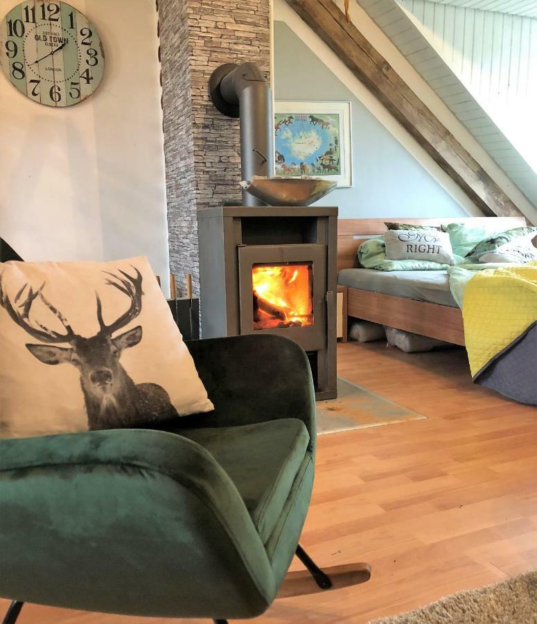Hof Vierzehnender Im Hohen Venn - 70Qm Fachwerk-Studio - Grosses Wohn-Schlafzimmer Mit Dachterrasse Und Kaminofen - Separate Kueche - Perfekt Fuer Paare - Monschau - Eifel - Hunde Willkommen - Islandpferde 外观 照片