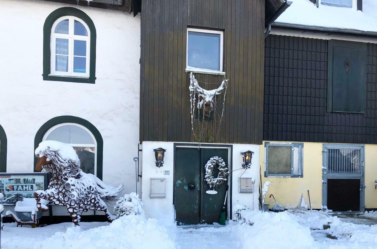 Hof Vierzehnender Im Hohen Venn - 70Qm Fachwerk-Studio - Grosses Wohn-Schlafzimmer Mit Dachterrasse Und Kaminofen - Separate Kueche - Perfekt Fuer Paare - Monschau - Eifel - Hunde Willkommen - Islandpferde 外观 照片