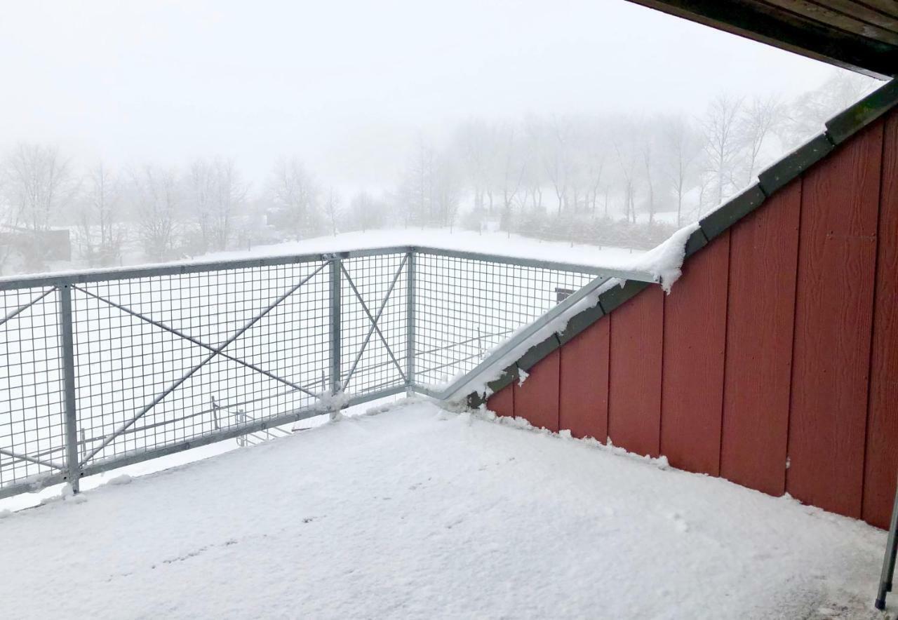Hof Vierzehnender Im Hohen Venn - 70Qm Fachwerk-Studio - Grosses Wohn-Schlafzimmer Mit Dachterrasse Und Kaminofen - Separate Kueche - Perfekt Fuer Paare - Monschau - Eifel - Hunde Willkommen - Islandpferde 外观 照片